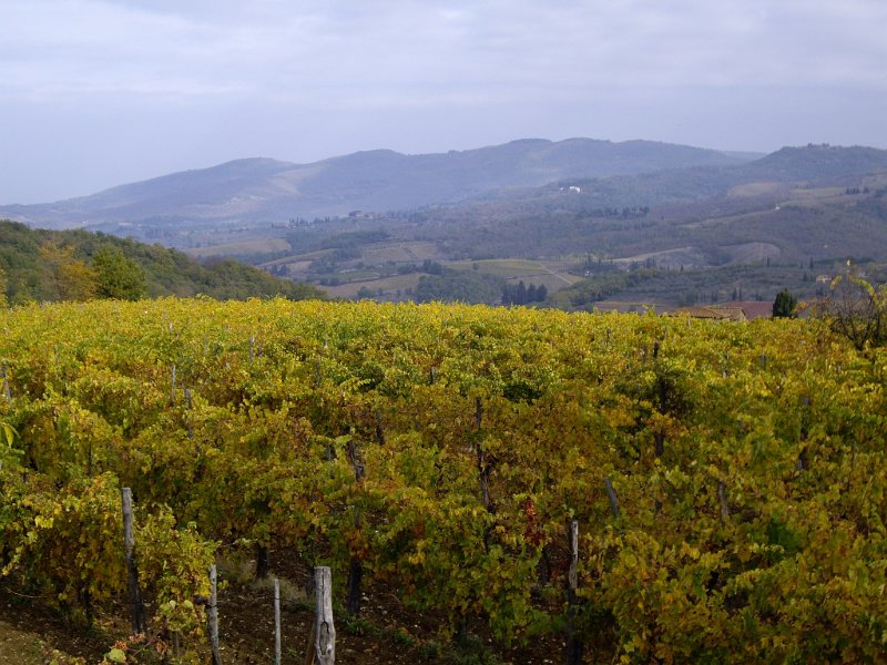 chianti paysage02.jpg